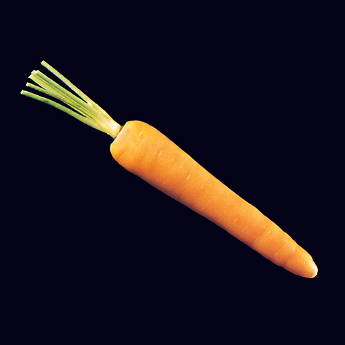 food_pictures